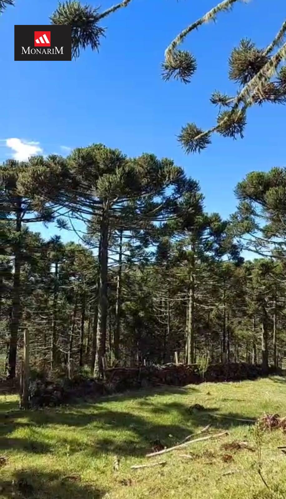 Sítio 5 quartos no bairro Centro