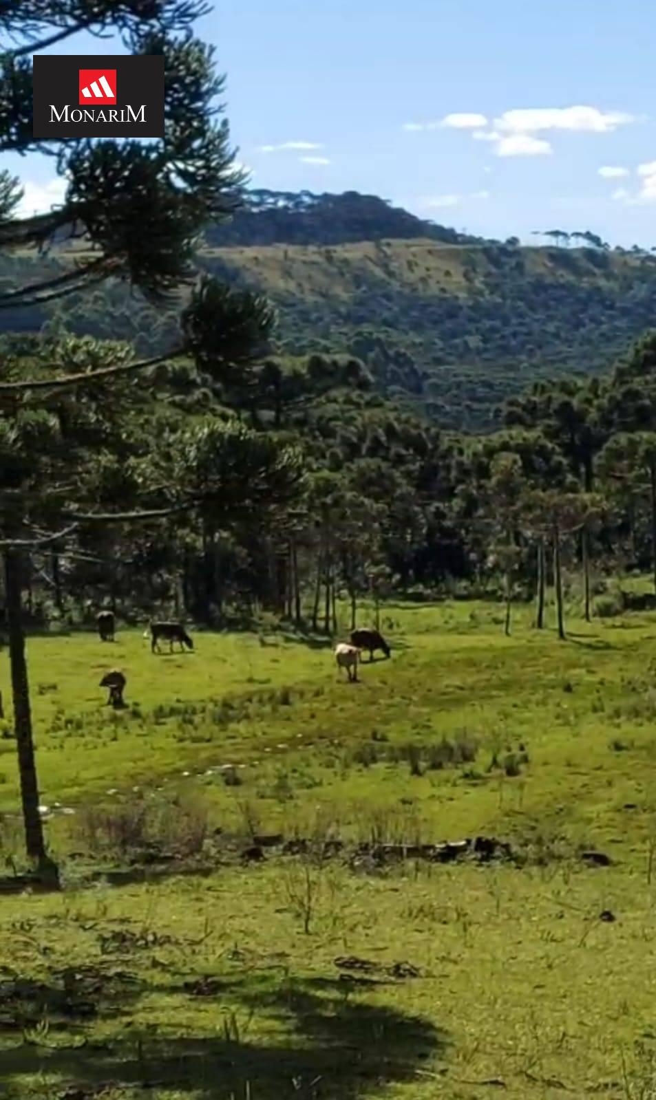 Sítio 5 quartos no bairro Centro