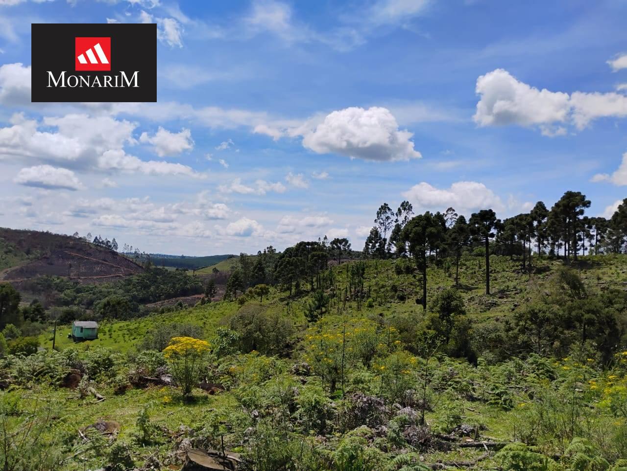 Sítio 6 quartos no bairro Centro