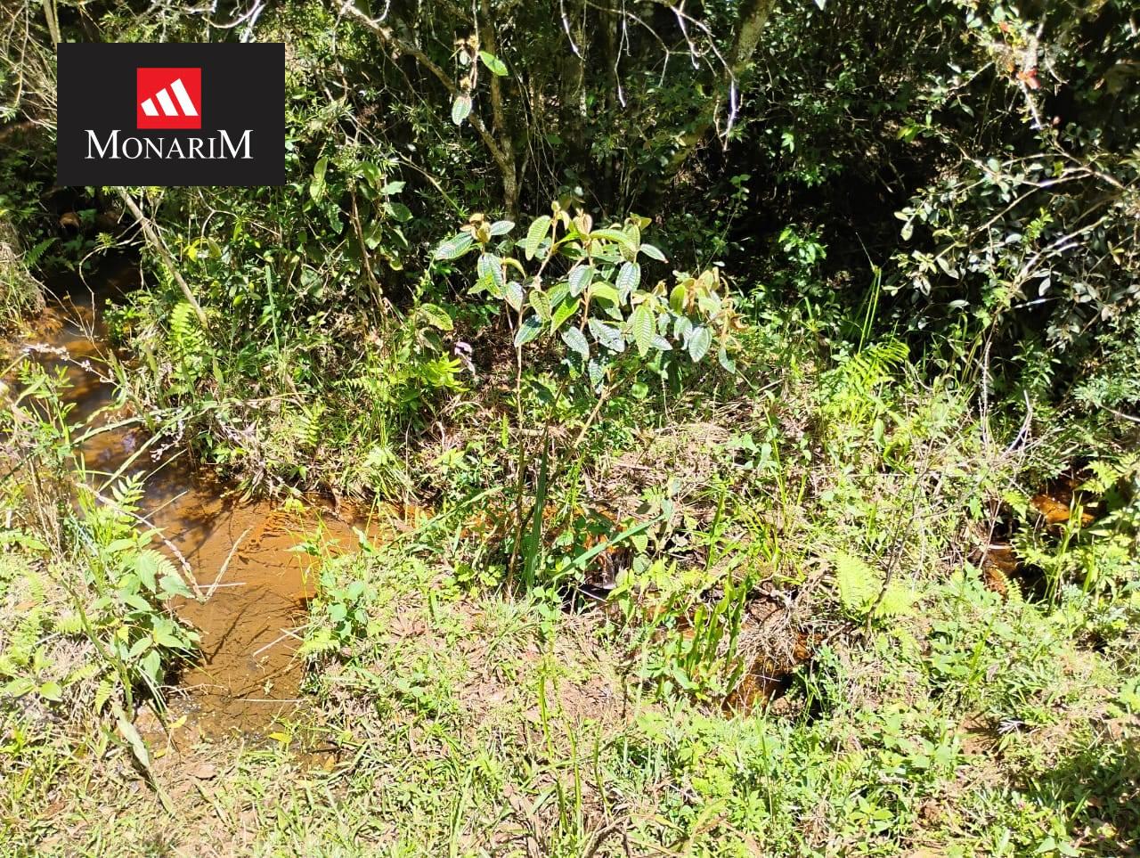 Sítio 6 quartos no bairro Centro