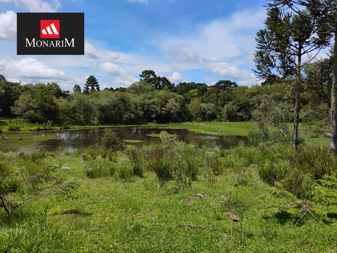 Sítio 6 quartos no bairro Centro