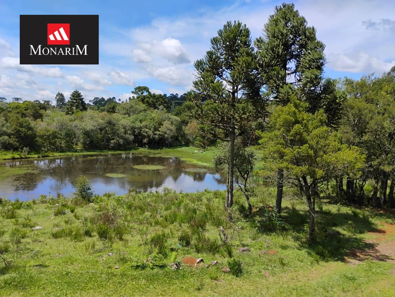 Sítio 6 quartos no bairro Centro
