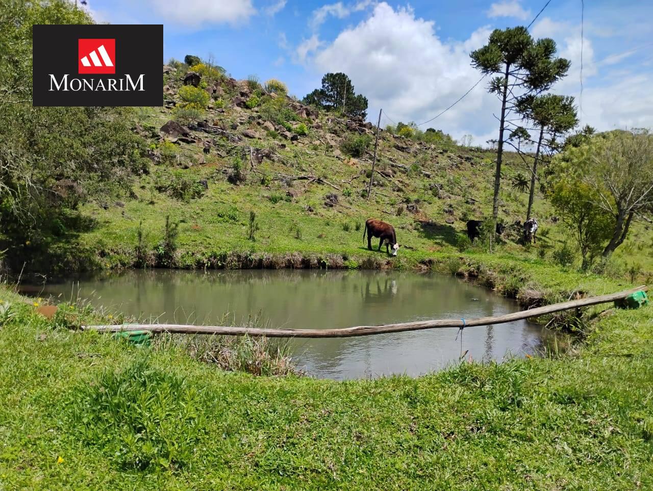 Sítio 6 quartos no bairro Centro