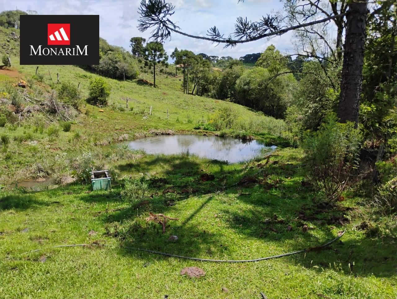 Sítio 6 quartos no bairro Centro