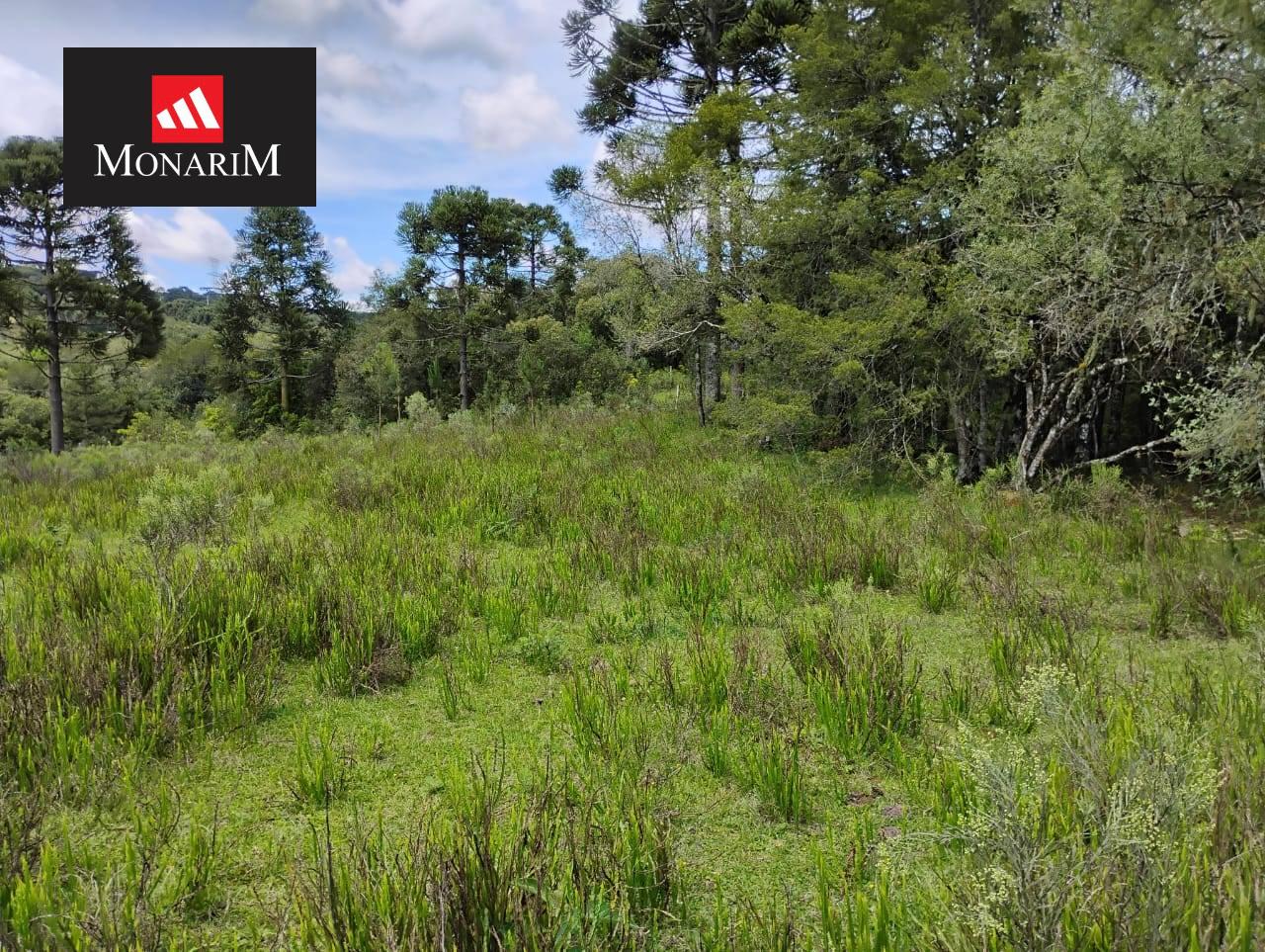 Sítio 6 quartos no bairro Centro