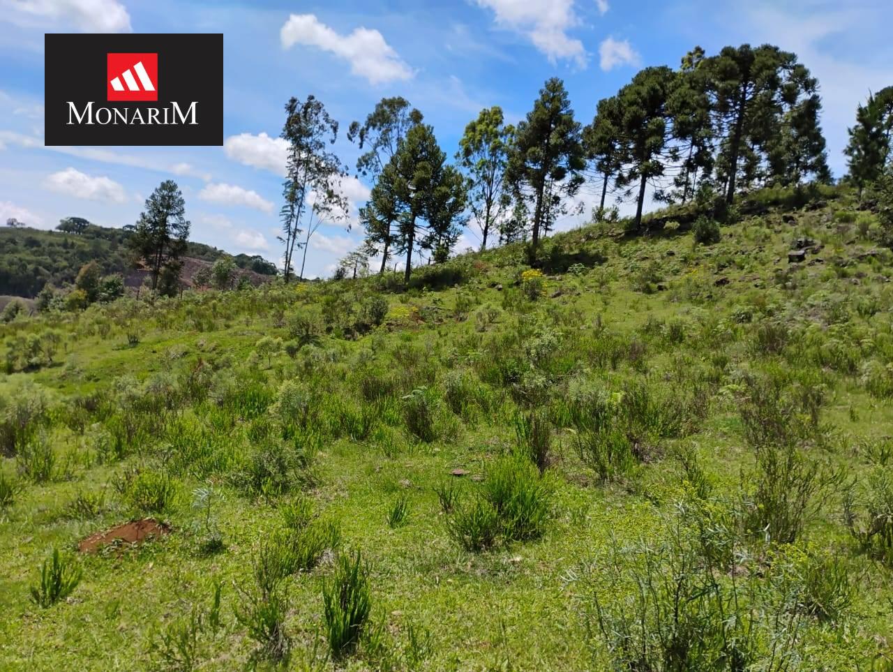 Sítio 6 quartos no bairro Centro