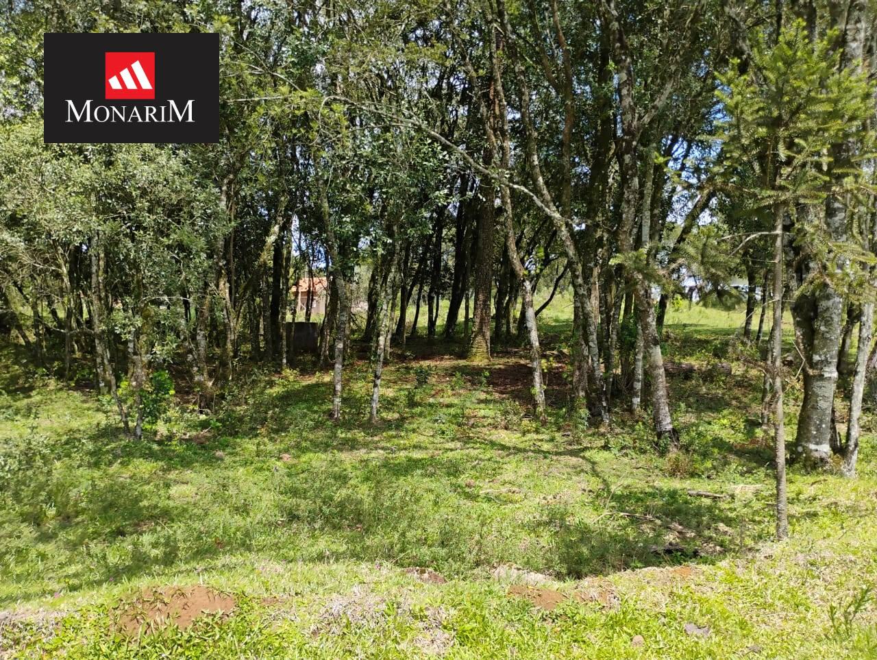 Sítio 6 quartos no bairro Centro