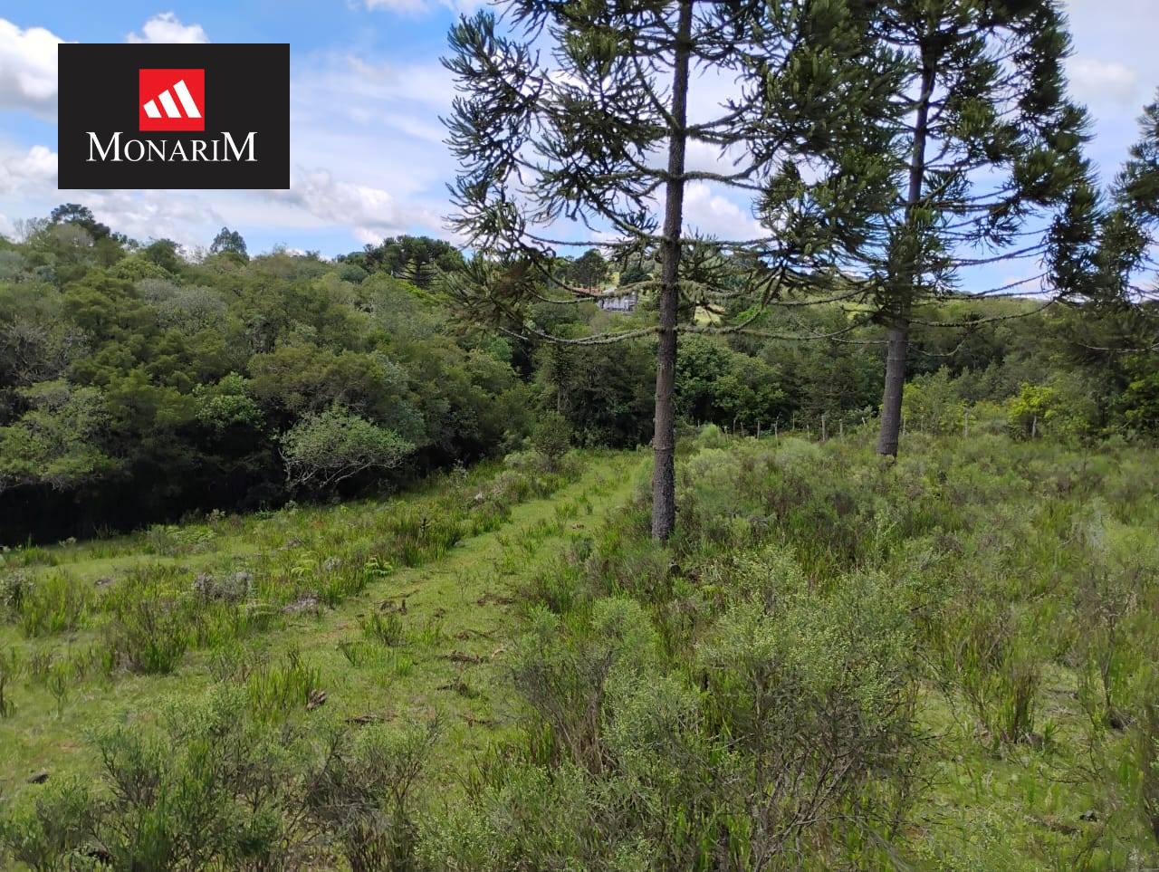 Sítio 6 quartos no bairro Centro