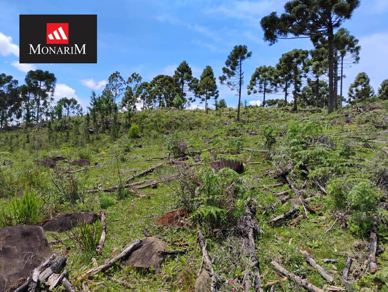 Sítio 6 quartos no bairro Centro
