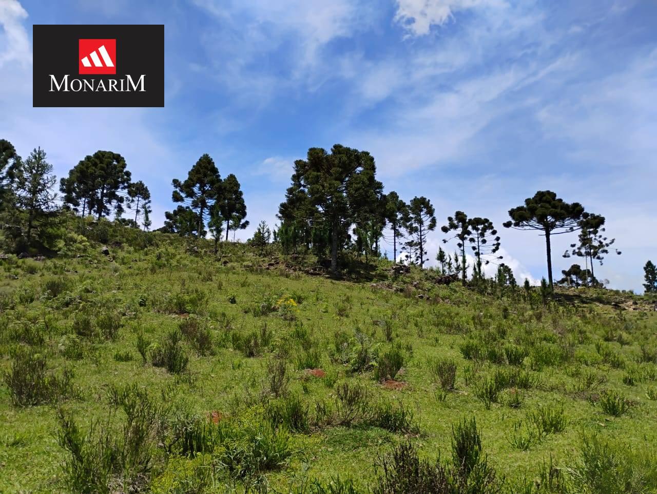 Sítio 6 quartos no bairro Centro