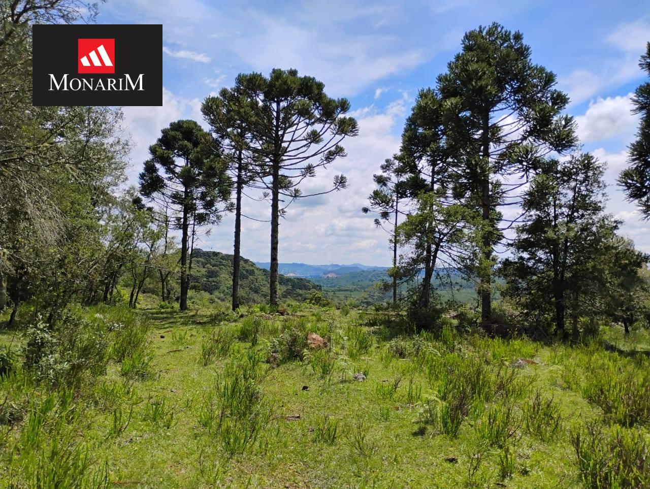 Sítio 6 quartos no bairro Centro