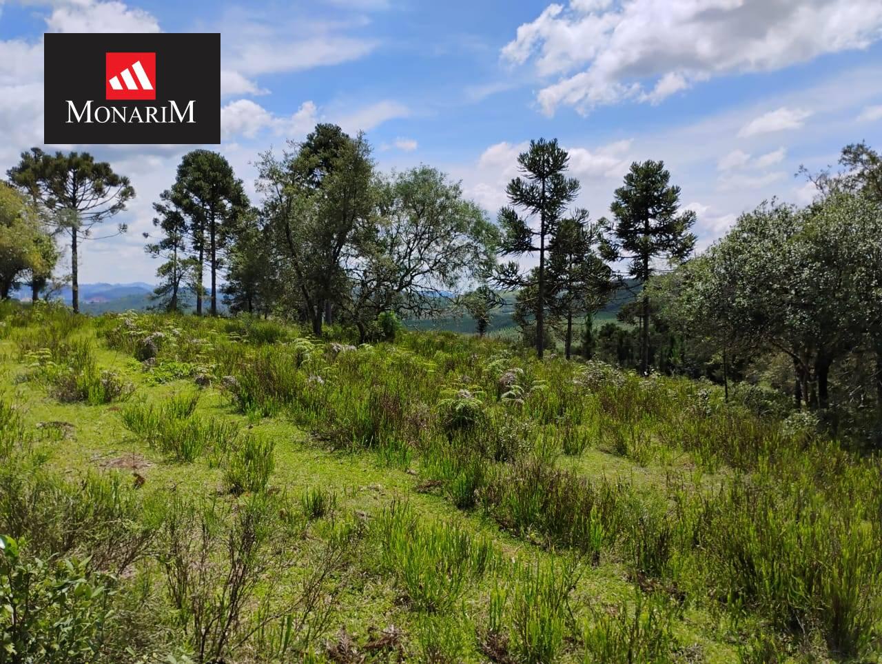 Sítio 6 quartos no bairro Centro