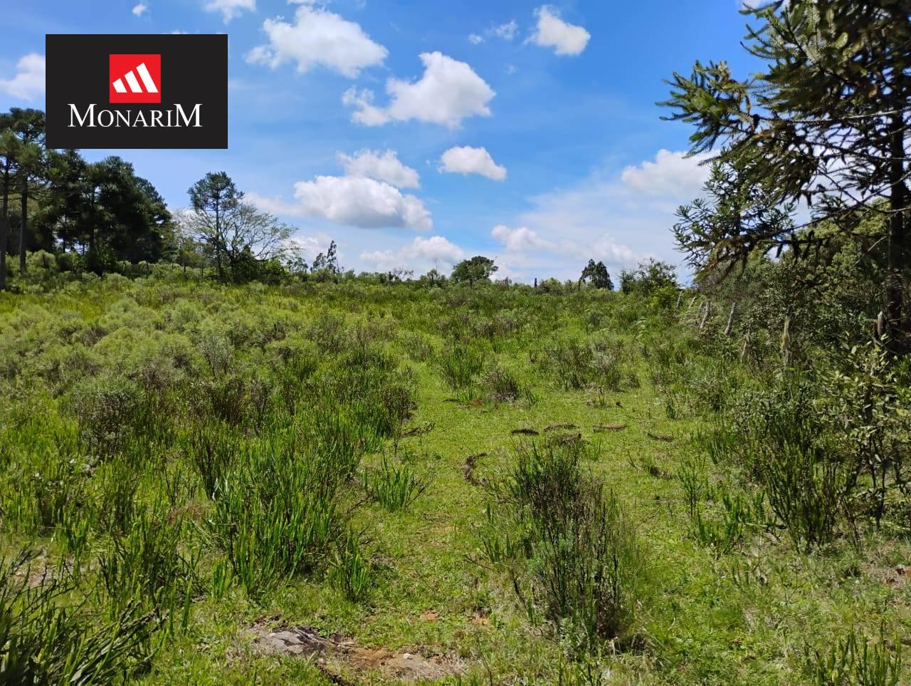 Sítio 6 quartos no bairro Centro