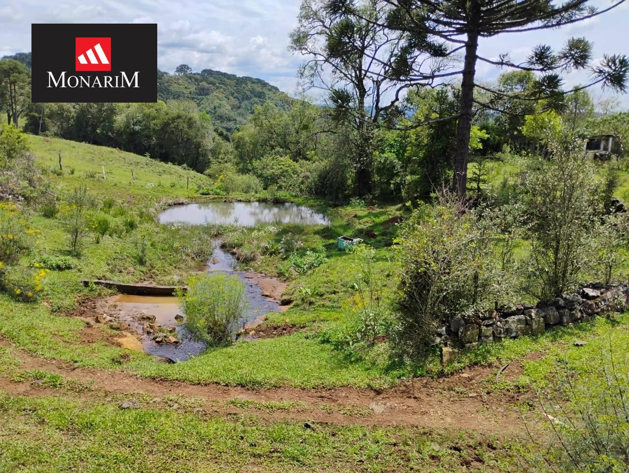 Sítio 6 quartos no bairro Centro