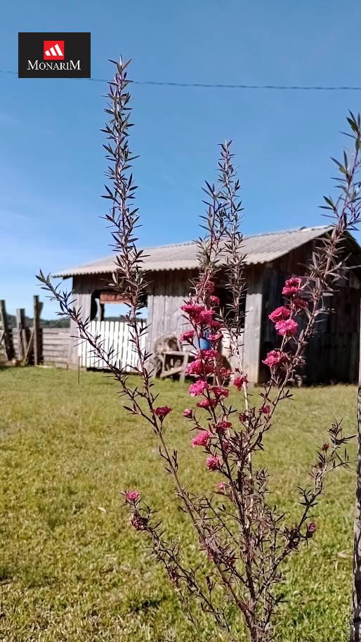 Chácara no bairro Centro