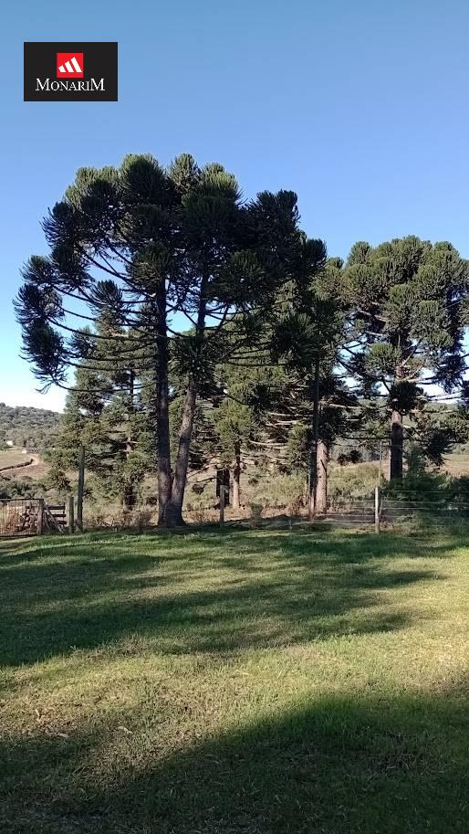 Chácara no bairro Centro