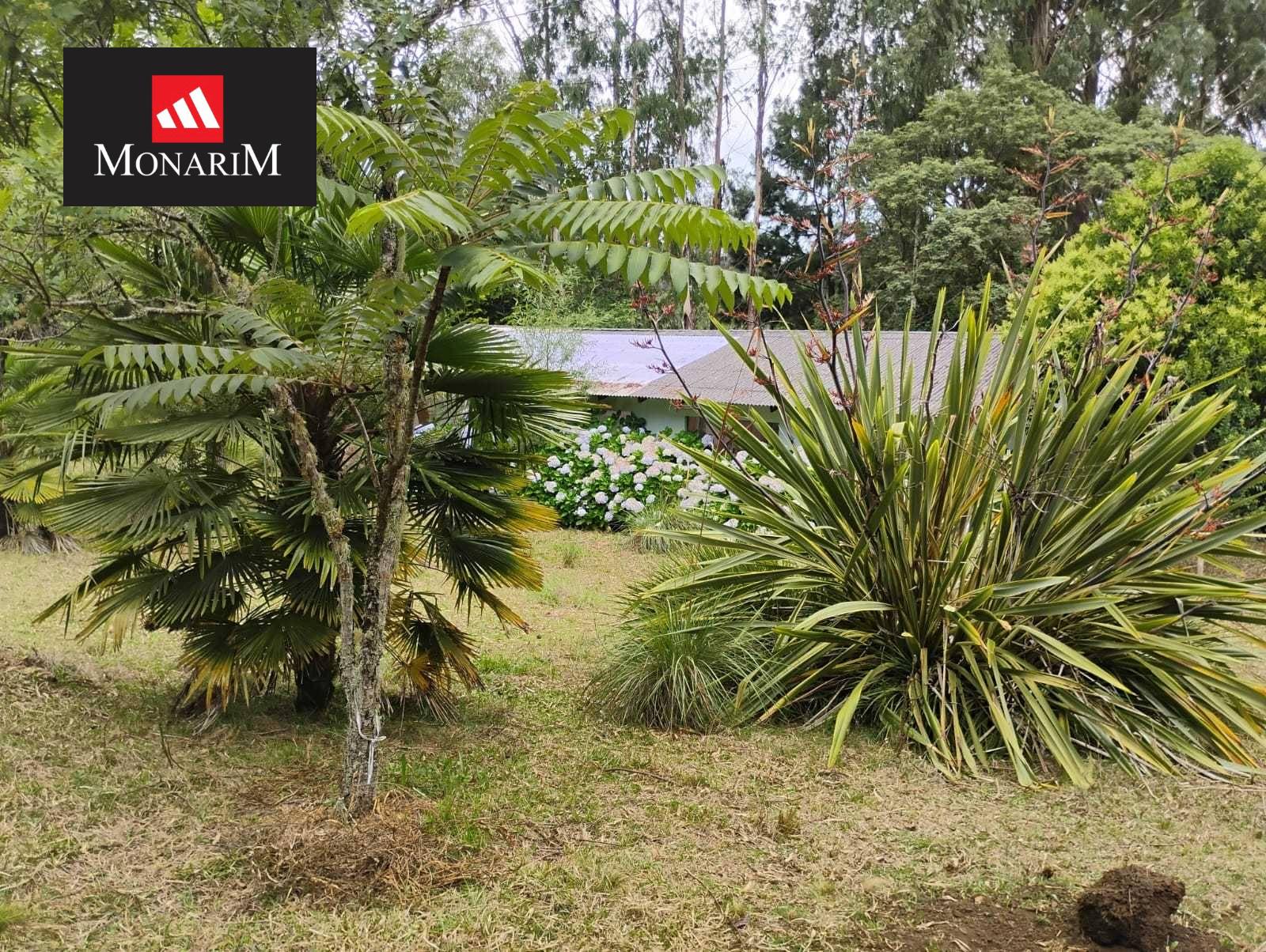 Chácara 6 quartos no bairro Boqueirão