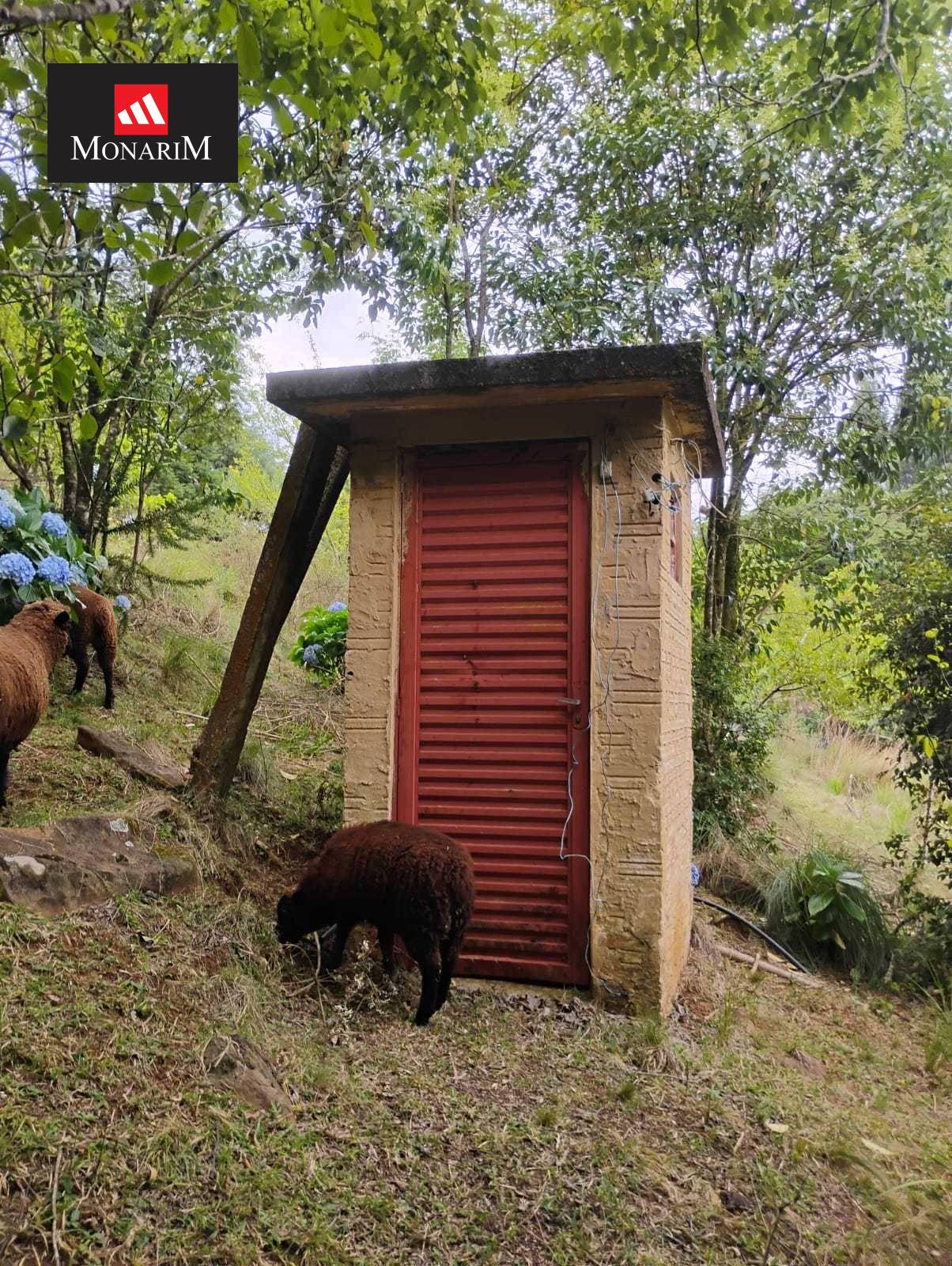 Chácara 6 quartos no bairro Boqueirão
