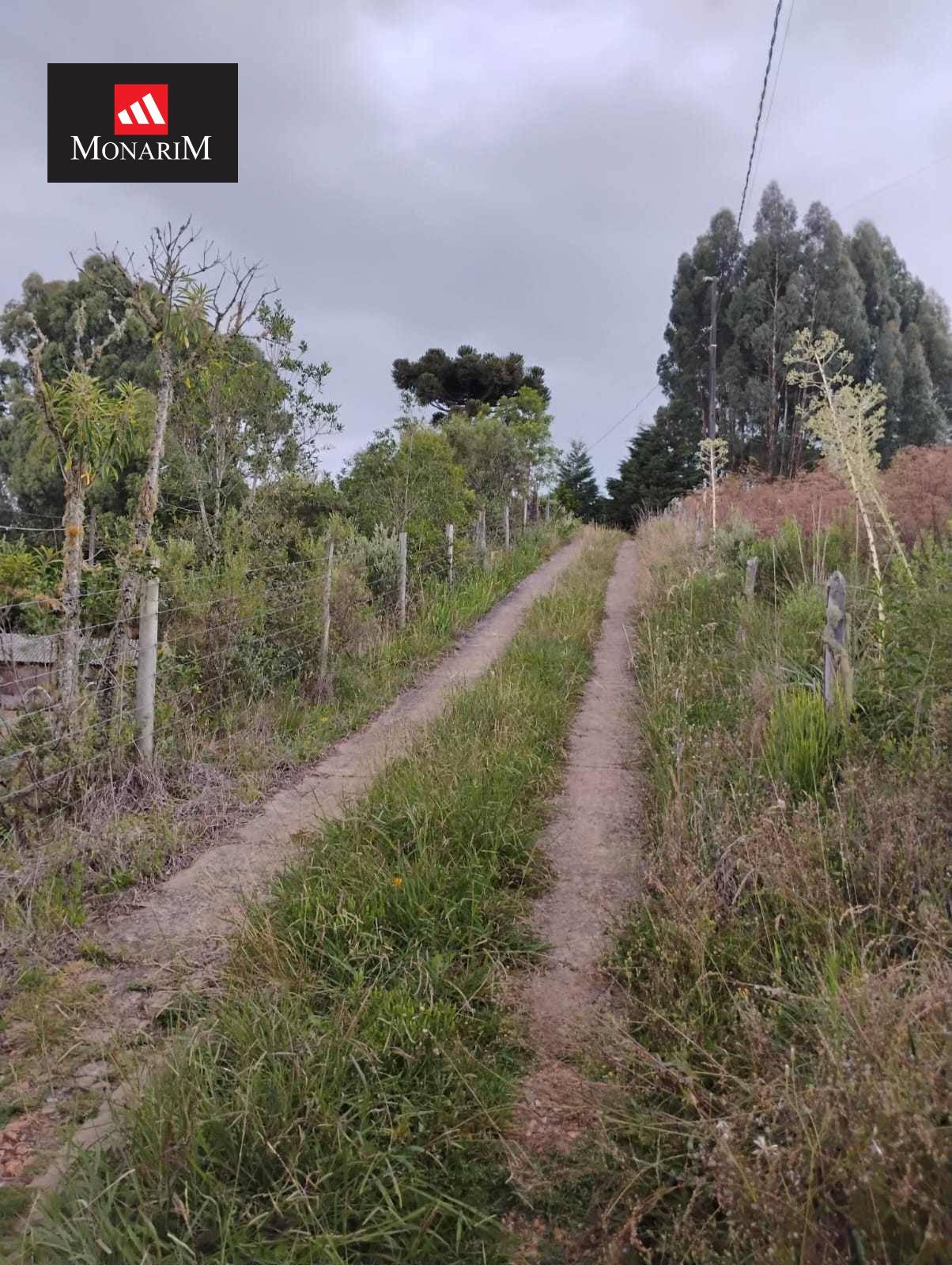 Chácara 6 quartos no bairro Boqueirão