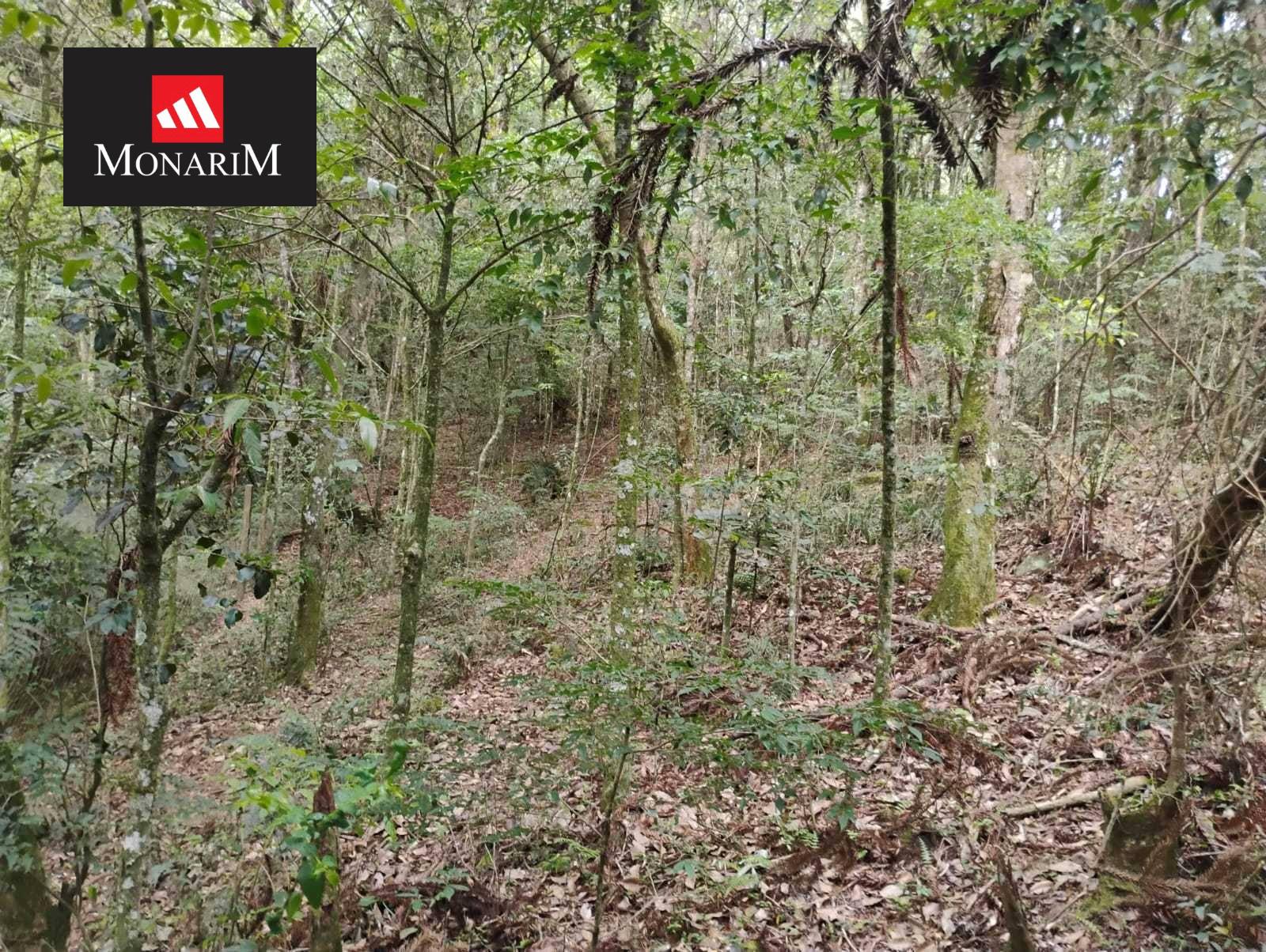 Chácara 6 quartos no bairro Boqueirão