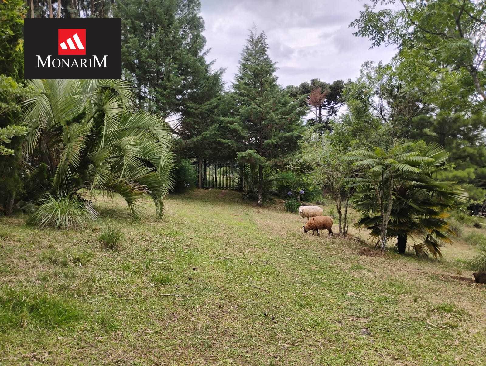 Chácara 6 quartos no bairro Boqueirão