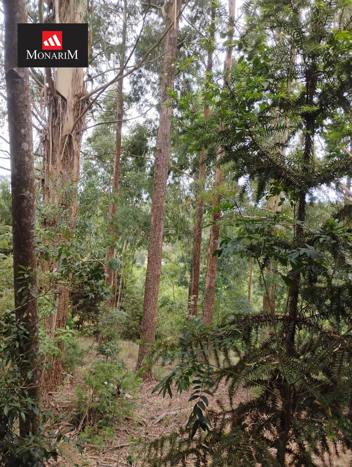 Chácara 6 quartos no bairro Boqueirão