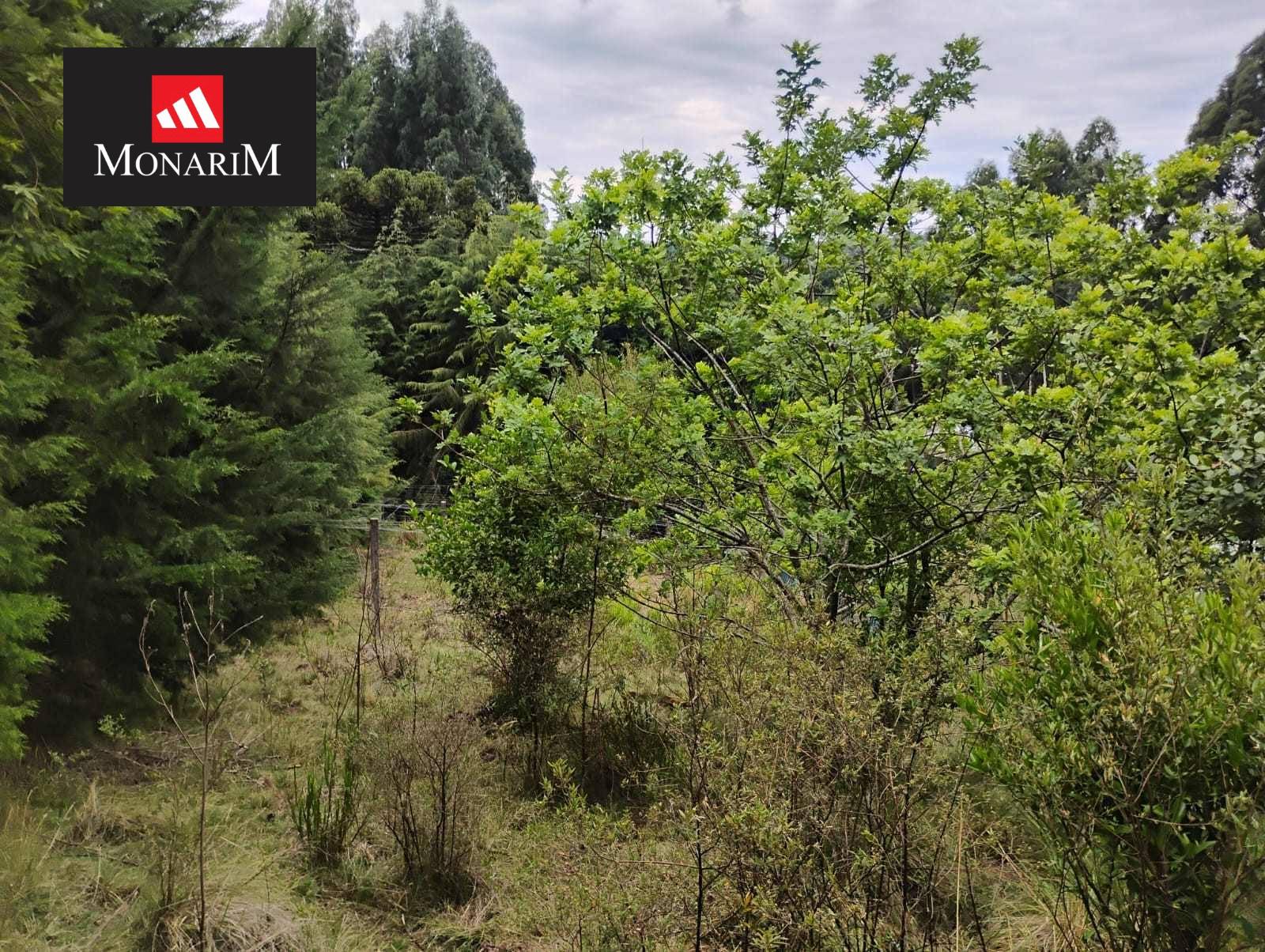 Chácara 6 quartos no bairro Boqueirão