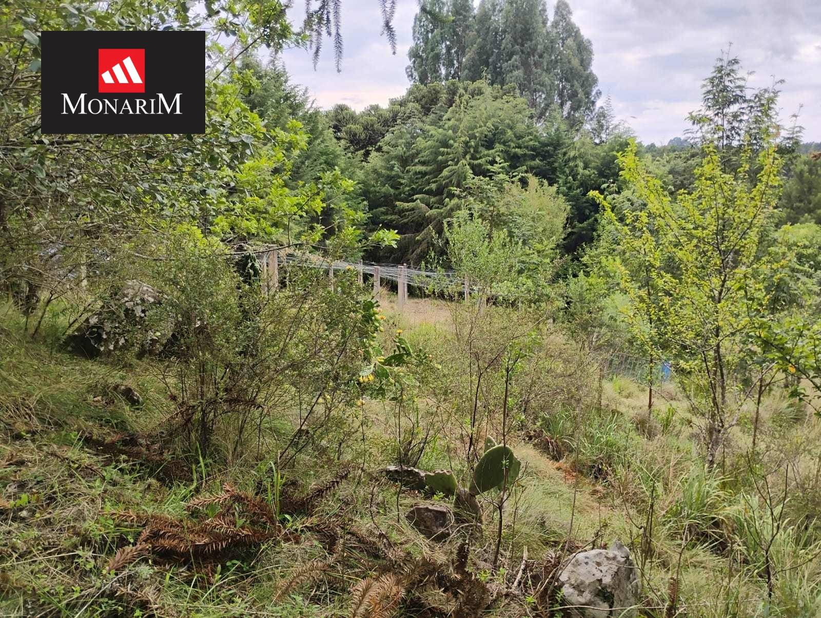 Chácara 6 quartos no bairro Boqueirão