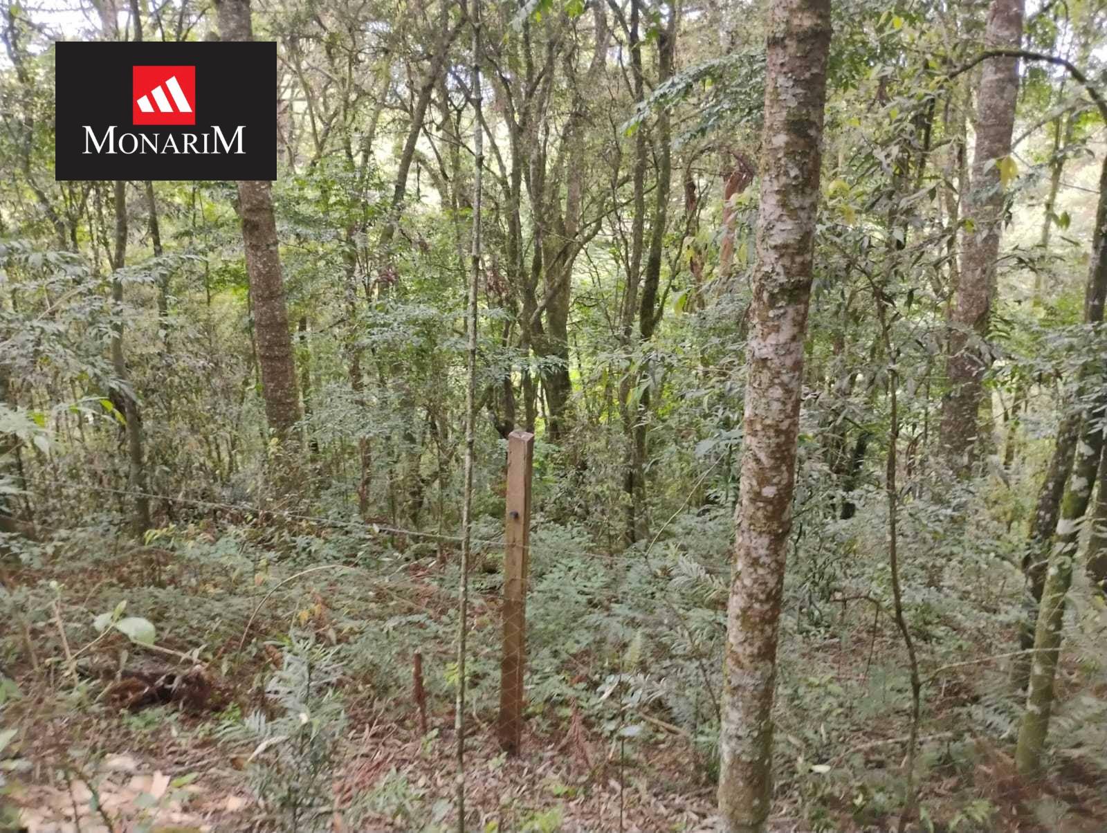 Chácara 6 quartos no bairro Boqueirão