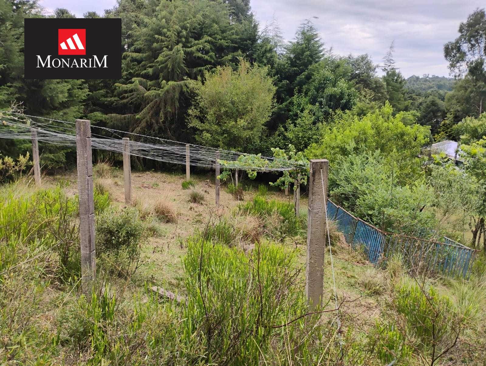 Chácara 6 quartos no bairro Boqueirão