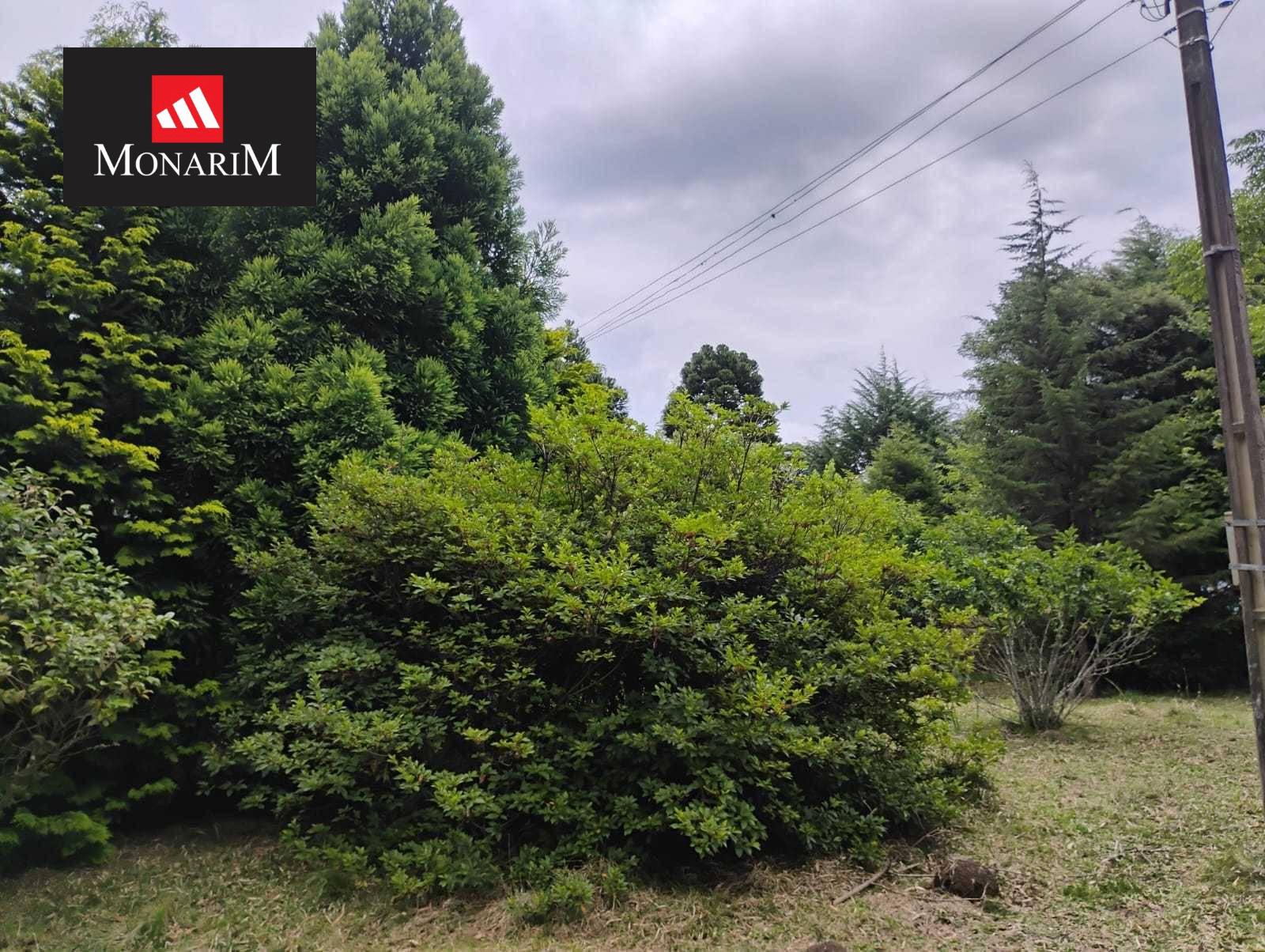 Chácara 6 quartos no bairro Boqueirão