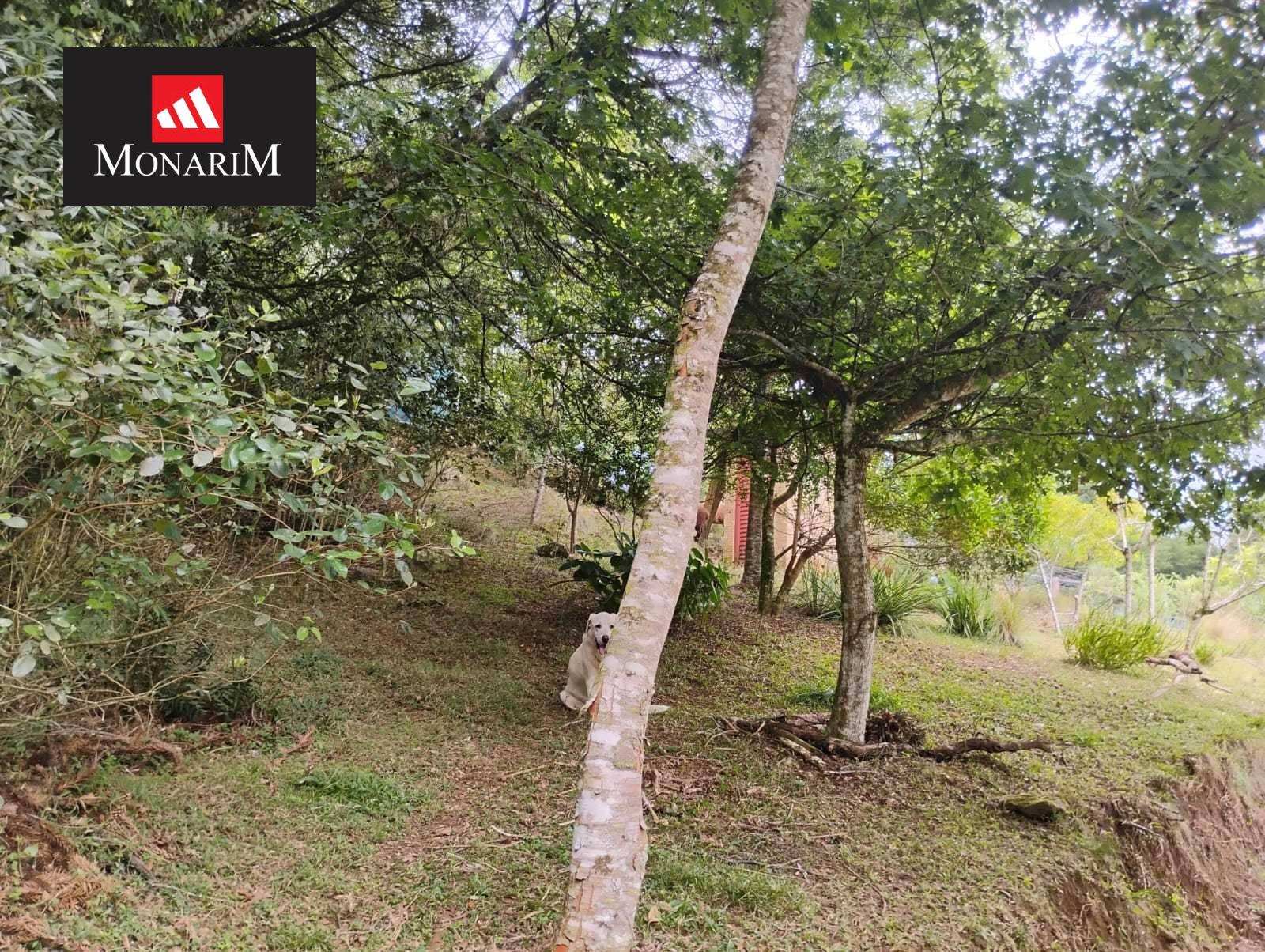 Chácara 6 quartos no bairro Boqueirão