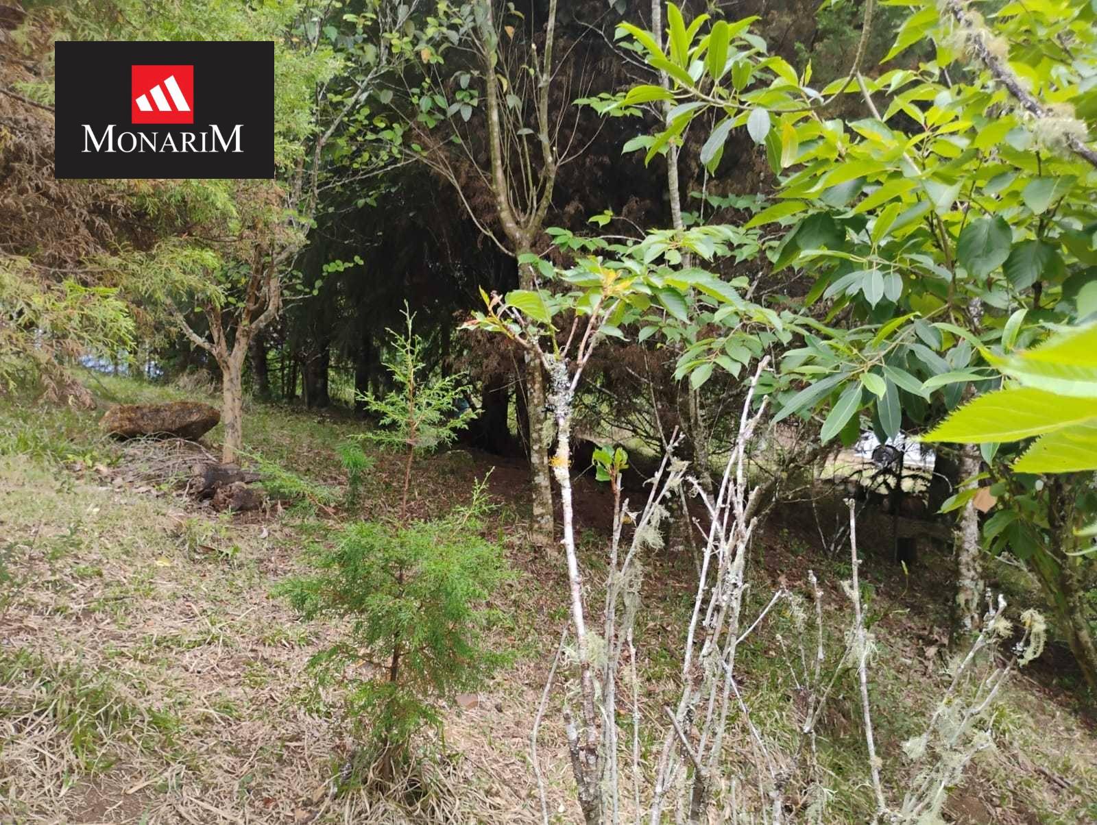 Chácara 6 quartos no bairro Boqueirão