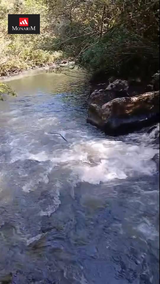 Sítio no bairro Interior