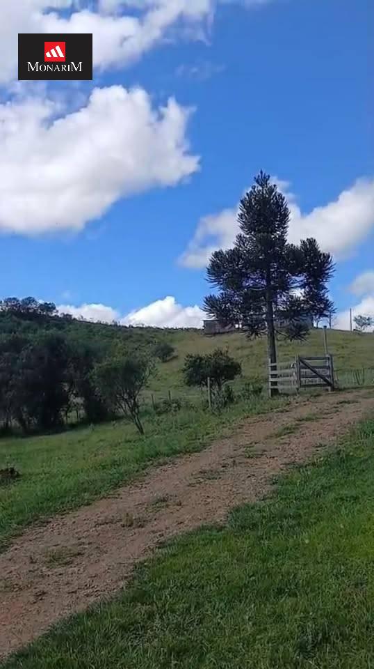 Sítio no bairro Interior