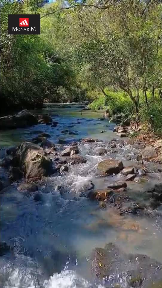 Sítio no bairro Interior