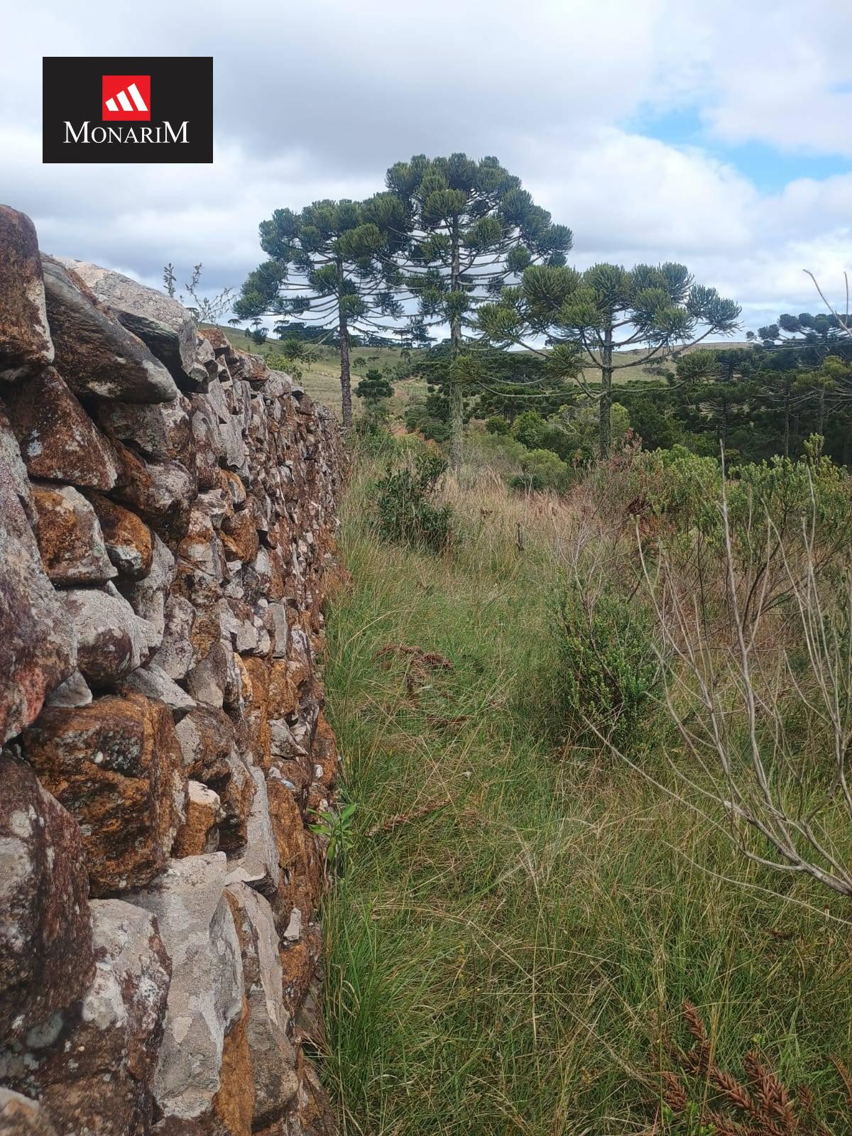 Terreno rural no bairro Centro
