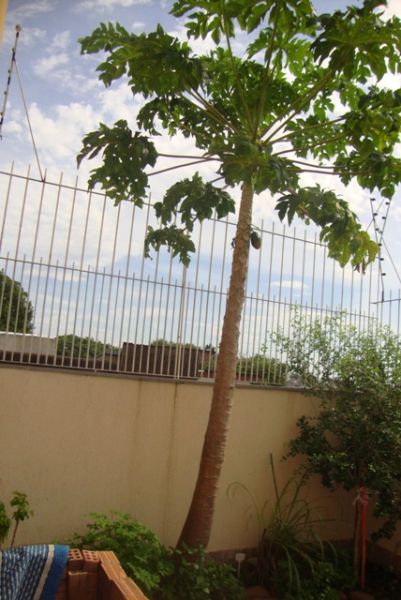 Casa 4 quarto(s)  no bairro Jardim Itu Sabará