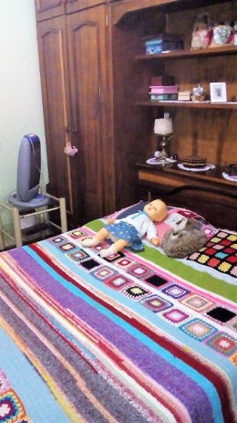 Apartamento 1 quarto(s)  no bairro Jardim Leopoldina