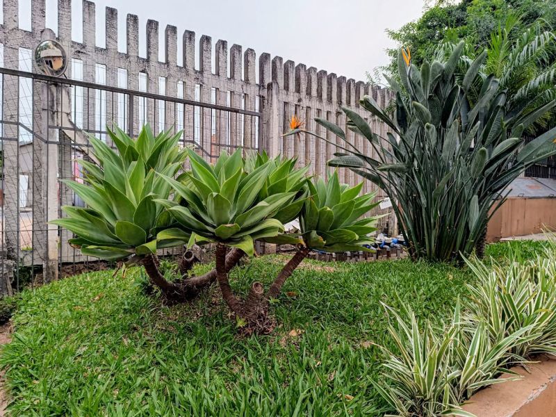 Apartamento 2 quarto(s)  no bairro Protásio Alves