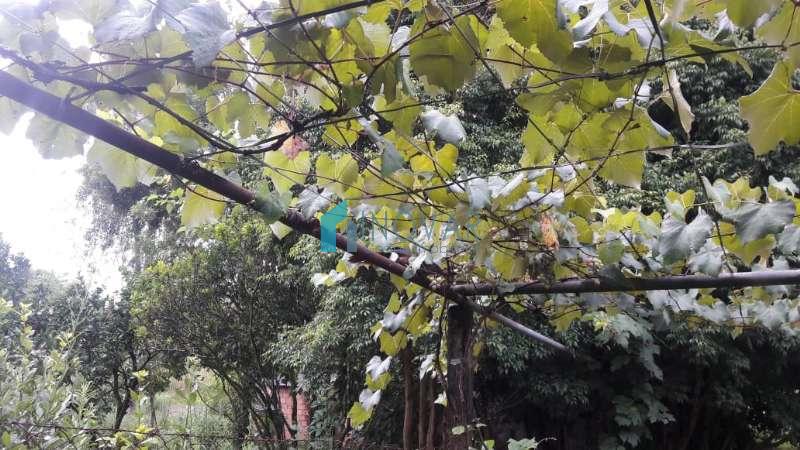 Sítio 3 dormitórios no bairro Caju