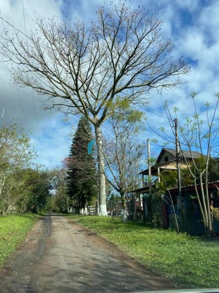 Casa 3 dormitórios no bairro Califórnia