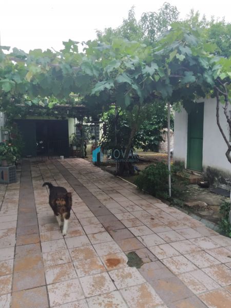 Casa 3 dormitórios no bairro Rio Branco