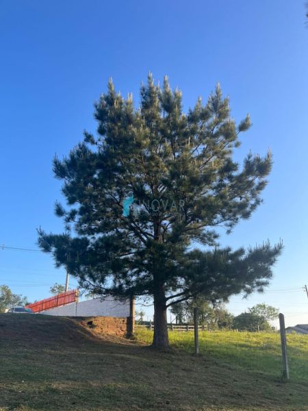 Sítio 2 dormit&oacute;rios no bairro Morungava