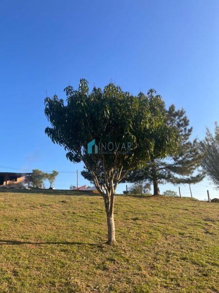 Sítio 2 dormit&oacute;rios no bairro Morungava