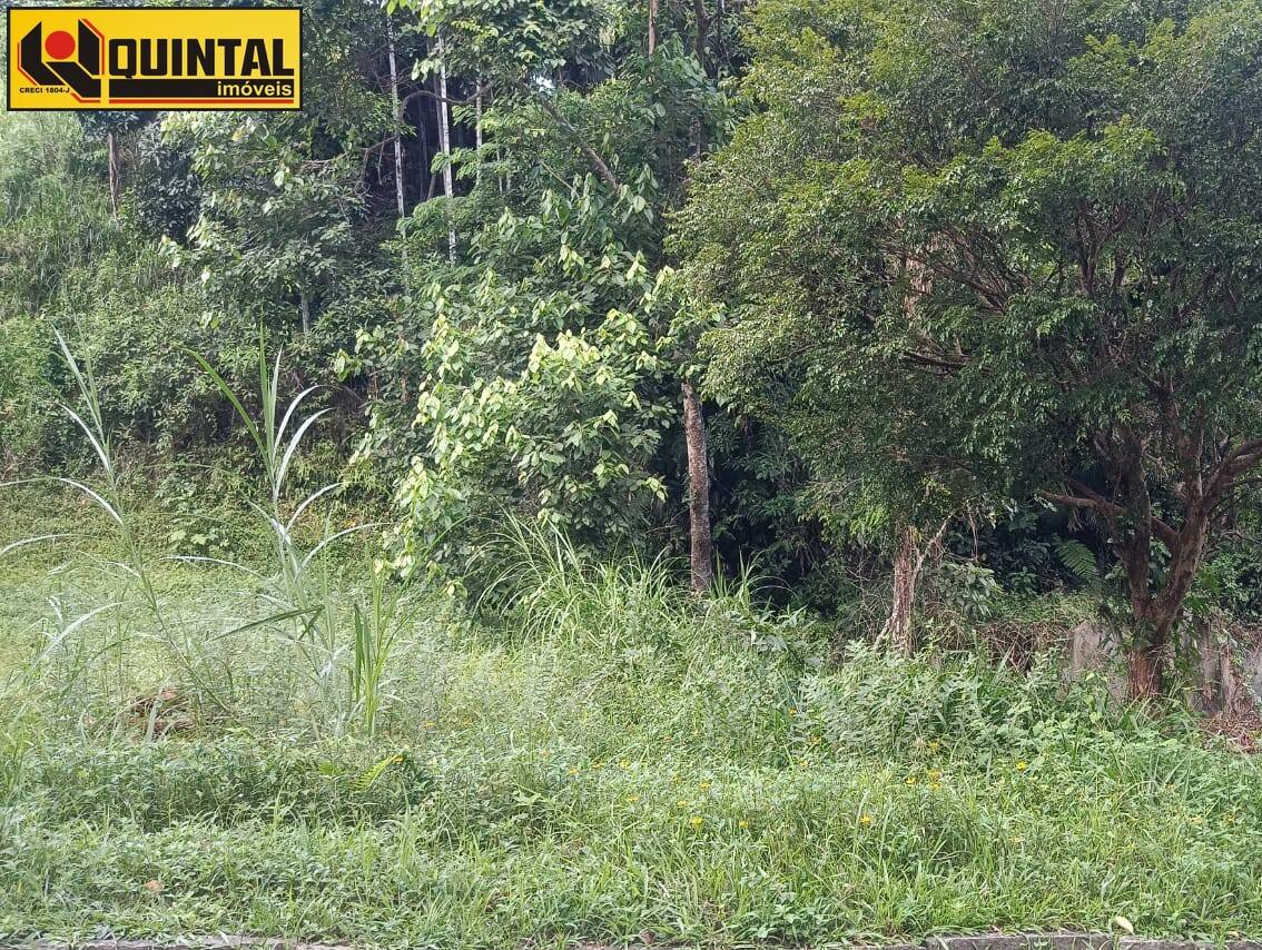 Terreno no bairro Garcia em Blumenau - Quintal Imóveis - Imóveis em Blumenau e região