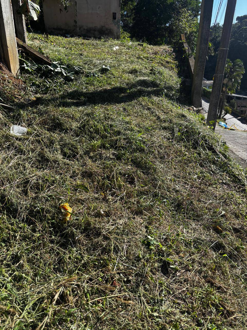 Terreno no bairro Fortaleza