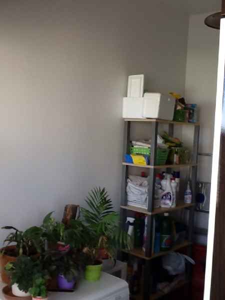 Apartamento 3 quartos  no bairro Centro
