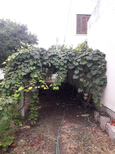 Sobrado 4 quartos  no bairro Três Vendas