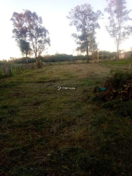 Casa 2 quartos  no bairro Parque Fragata